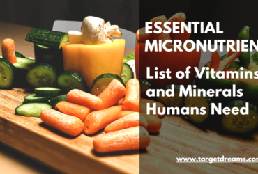 List of Vitamins and Minerals Humans Need